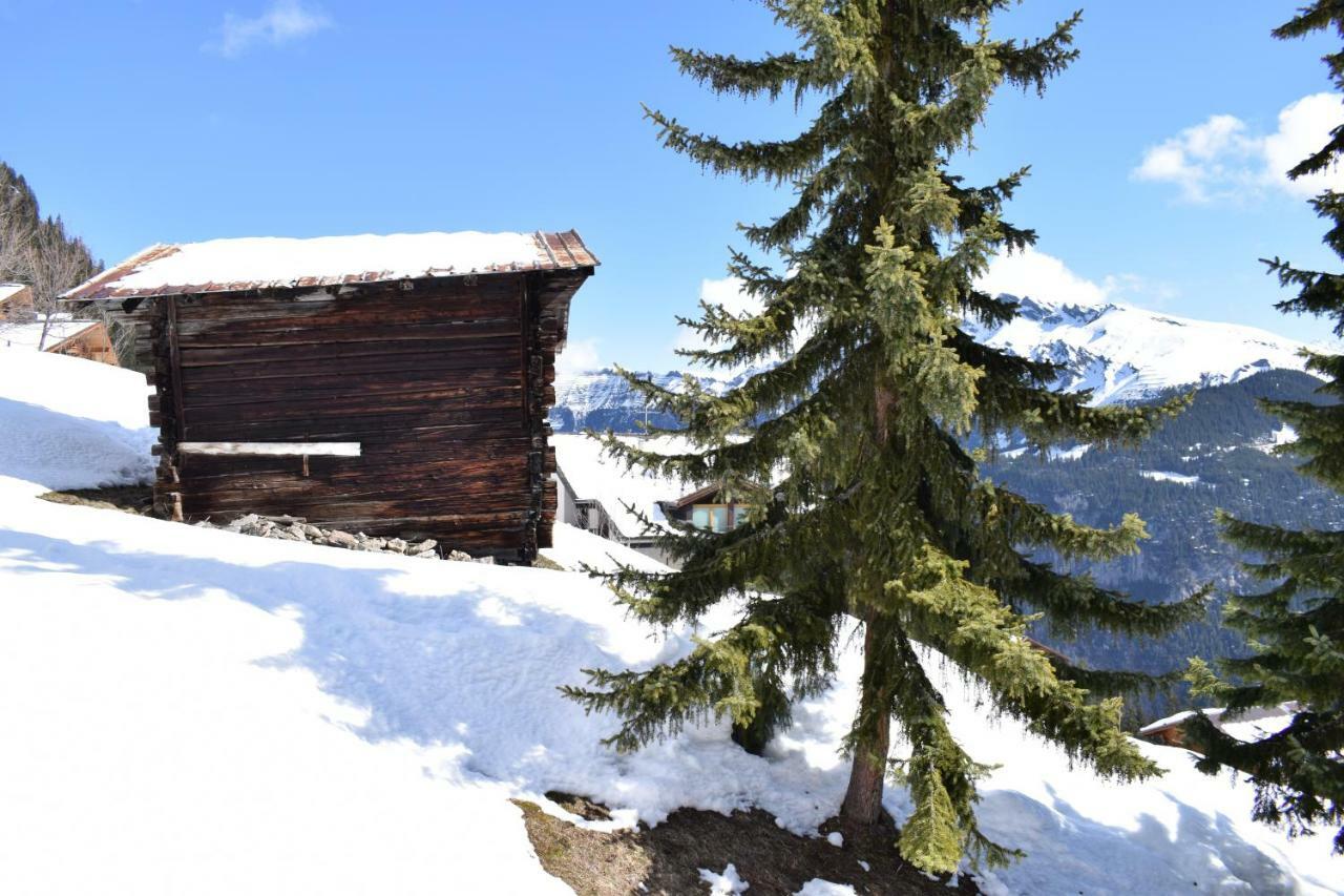 Sportlodge Muerren Mürren Exterior foto